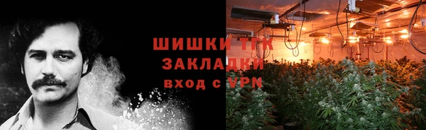 шишки Верхний Тагил