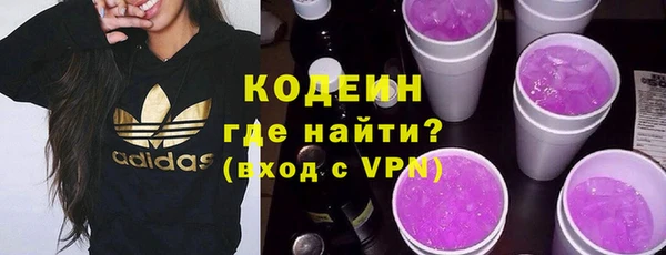 шишки Верхний Тагил