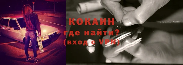шишки Верхний Тагил
