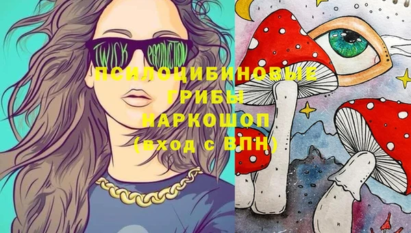шишки Верхний Тагил