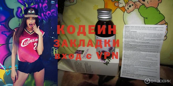 шишки Верхний Тагил