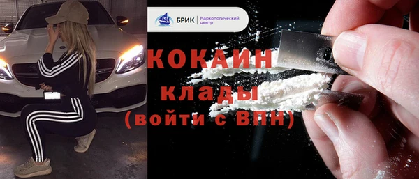 шишки Верхний Тагил