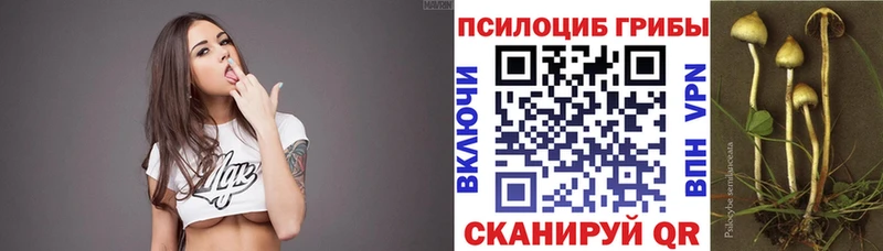 Галлюциногенные грибы Psilocybine cubensis  Люберцы 